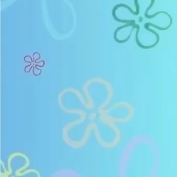 Meet your Posher, Lexy - Picture 1 of 1